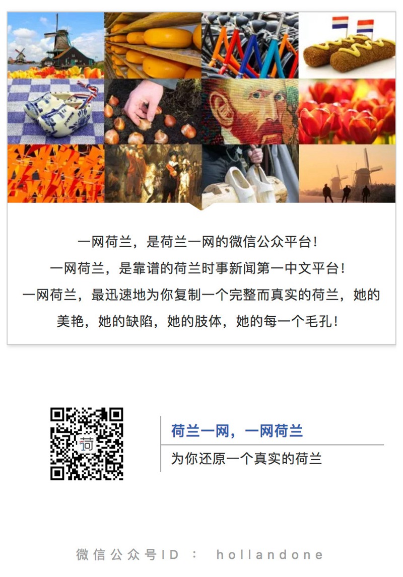 荷兰文康福利基金会再办敬老活动，华洋老人们欢聚一堂品尝中式美食